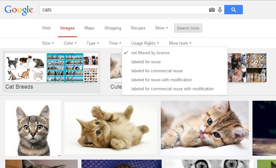 "جوجل" تجعل البحث عن الصور حسب "حقوق الاستخدام" أكثر سهولة البوابة