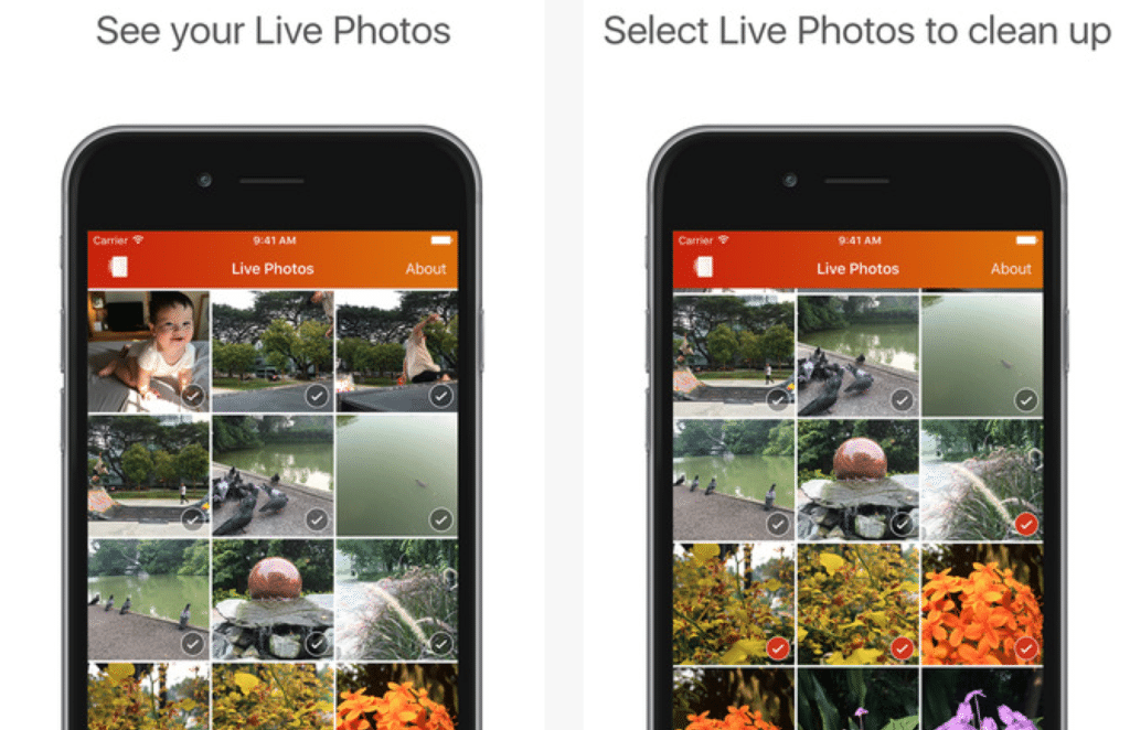 تطبيق لتحويل صور Live Photos إلى صور عادية