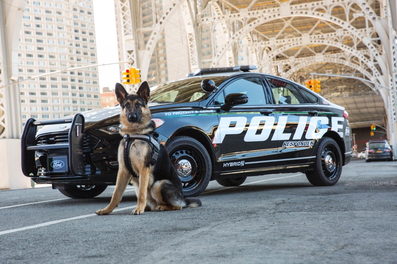 فورد توفر سيارة شرطة هجينة مصممة للملاحقات Police-Responder-Hybrid-Sedan-6