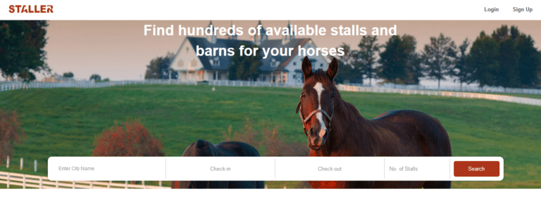Airbnb للخيول.. منصة جديدة لتأجير الأكشاك في مسابقات الفروسية على الإنترنت