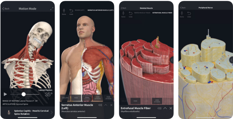 complete anatomy 2019 free