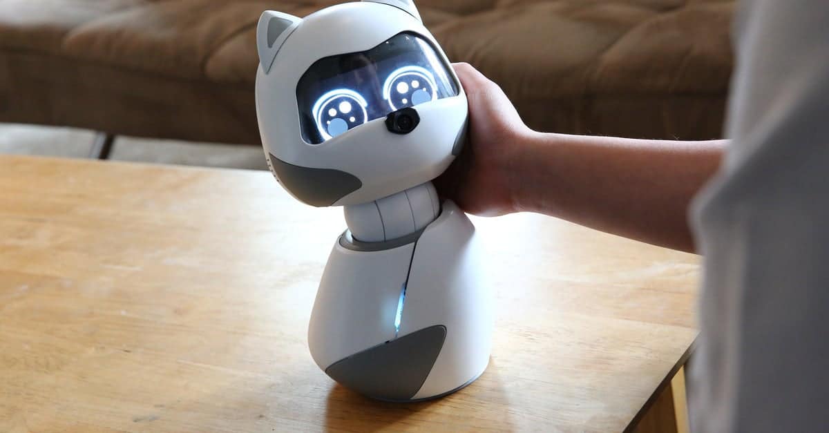 Kiki.. روبوت منزلي ذكي يتعلم منك ويتفاعل معك