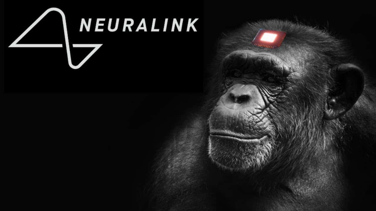 Neuralink حفزت دماغ قرد للعب ألعاب الفيديو بعقله