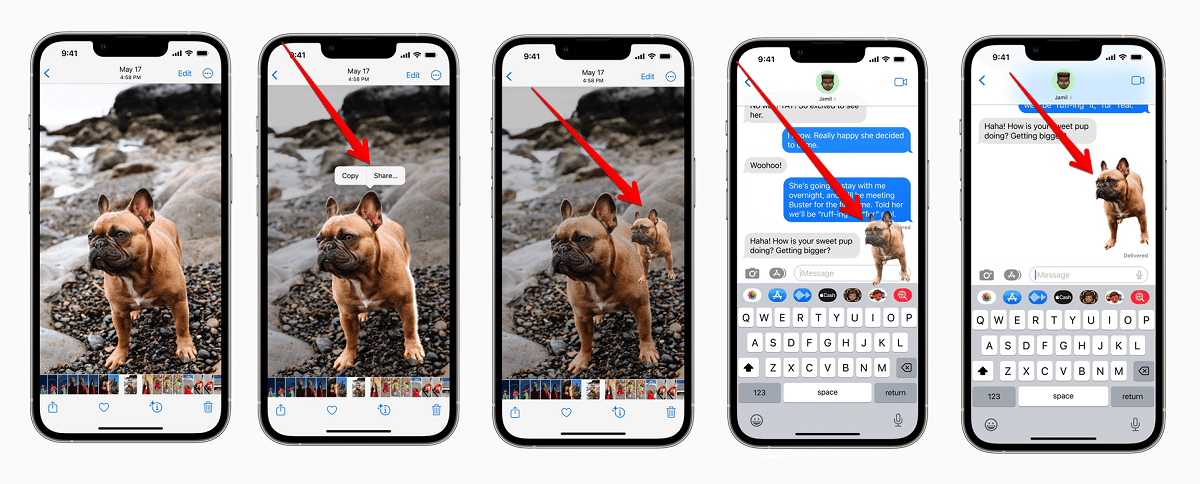 كيف تستخدم ميزة iOS 16 الجديدة لإزالة خلفية الصور بنقرة واحدة؟