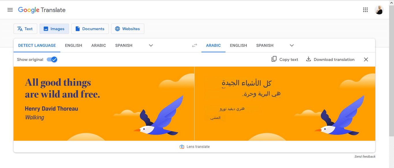 كيفية استخدام ترجمة جوجل لترجمة النص في أي صورة 