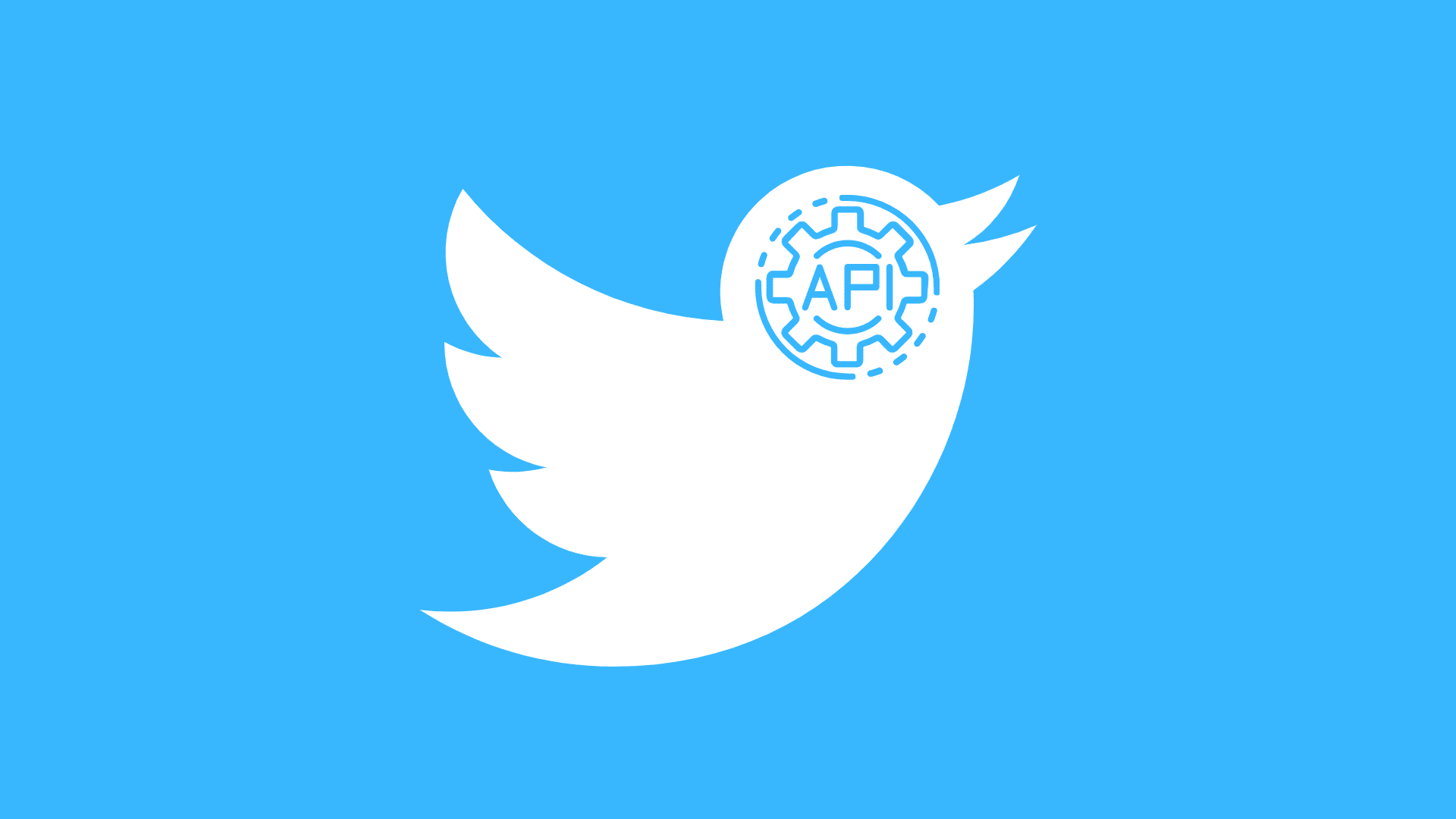 تويتر تعلن رسميًا عن منصتها البرمجية الجديدة