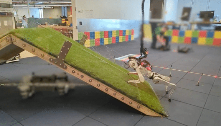 مهندسو جوجل يستخدمون كلابًا حقيقية لتطوير مضمار حواجز للروبوتات