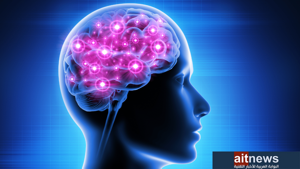علماء يعملون على إدماج الذكاء الاصطناعي في خلايا الدماغ البشري