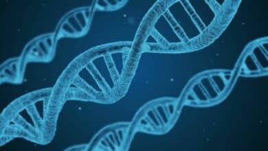 استخدام الحمض النووي سيحافظ على تخزين البيانات لمدة قدرها 150 عامًا