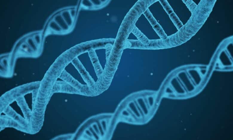 استخدام الحمض النووي سيحافظ على تخزين البيانات لمدة قدرها 150 عامًا