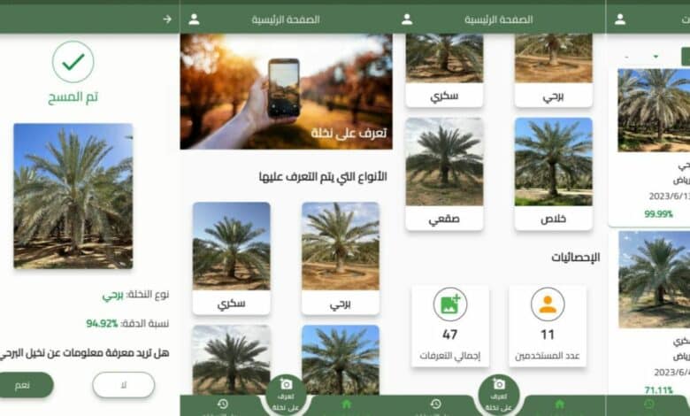 باحثون سعوديون يستخدمون الذكاء الاصطناعي لتعرّف أنواع النخيل