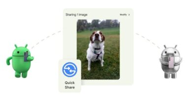 جوجل تطلق ميزة مشاركة الملفات Quick Share